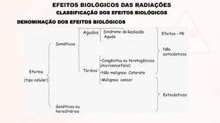 DENOMINAÇÃO DOS EFEITOS BIOLÓGICOS
CLASSIFICAÇÃO DOS EFEITOS BIOLÓGICOS
EFEITOS BIOLÓGICOS DAS RADIAÇÕES
 