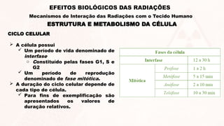CICLO CELULAR
 A célula possui
 Um período de vida denominado de
interfase
o Constituído pelas fases G1, S e
G2
 Um período de reprodução
denominado de fase mitótica.
 A duração do ciclo celular depende de
cada tipo de célula.
 Para fins de exemplificação são
apresentados os valores de
duração relativos.
ESTRUTURA E METABOLISMO DA CÉLULA
EFEITOS BIOLÓGICOS DAS RADIAÇÕES
Mecanismos de Interação das Radiações com o Tecido Humano
 
