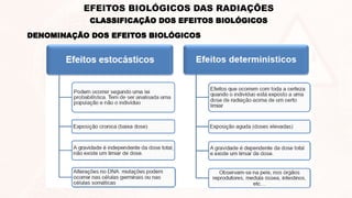 DENOMINAÇÃO DOS EFEITOS BIOLÓGICOS
CLASSIFICAÇÃO DOS EFEITOS BIOLÓGICOS
EFEITOS BIOLÓGICOS DAS RADIAÇÕES
 