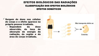 EFEITOS SOMÁTICOS
 Surgem do dano nas células
do corpo e o efeito aparece na
própria pessoa irradiada.
o Dependem da dose
absorvida, da taxa de
absorção da energia da
radiação, da região e da
área do corpo irradiada.
EFEITOS BIOLÓGICOS DAS RADIAÇÕES
CLASSIFICAÇÃO DOS EFEITOS BIOLÓGICOS
 
