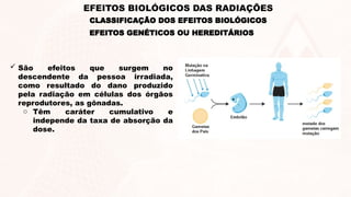 EFEITOS GENÉTICOS OU HEREDITÁRIOS
 São efeitos que surgem no
descendente da pessoa irradiada,
como resultado do dano produzido
pela radiação em células dos órgãos
reprodutores, as gônadas.
o Têm caráter cumulativo e
independe da taxa de absorção da
dose.
EFEITOS BIOLÓGICOS DAS RADIAÇÕES
CLASSIFICAÇÃO DOS EFEITOS BIOLÓGICOS
 