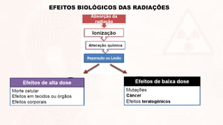 EFEITOS BIOLÓGICOS DAS RADIAÇÕES
 