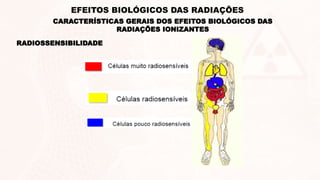 RADIOSSENSIBILIDADE
CARACTERÍSTICAS GERAIS DOS EFEITOS BIOLÓGICOS DAS
RADIAÇÕES IONIZANTES
EFEITOS BIOLÓGICOS DAS RADIAÇÕES
 