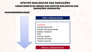 RADIOSSENSIBILIDADE
CARACTERÍSTICAS GERAIS DOS EFEITOS BIOLÓGICOS DAS
RADIAÇÕES IONIZANTES
EFEITOS BIOLÓGICOS DAS RADIAÇÕES
 