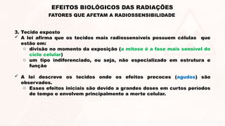 3. Tecido exposto
 A lei afirma que os tecidos mais radiossensíveis possuem células que
estão em:
o divisão no momento da exposição (a mitose é a fase mais sensível do
ciclo celular)
o um tipo indiferenciado, ou seja, não especializado em estrutura e
função
 A lei descreve os tecidos onde os efeitos precoces (agudos) são
observados.
o Esses efeitos iniciais são devido a grandes doses em curtos períodos
de tempo e envolvem principalmente a morte celular.
EFEITOS BIOLÓGICOS DAS RADIAÇÕES
FATORES QUE AFETAM A RADIOSSENSIBILIDADE
 