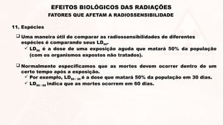 11. Espécies
 Uma maneira útil de comparar as radiossensibilidades de diferentes
espécies é comparando seus LD50.
 LD50 é a dose de uma exposição aguda que matará 50% da população
(com os organismos expostos não tratados).
 Normalmente especificamos que as mortes devem ocorrer dentro de um
certo tempo após a exposição.
 Por exemplo, LD50 / 30 é a dose que matará 50% da população em 30 dias.
 LD50 / 60 indica que as mortes ocorrem em 60 dias.
EFEITOS BIOLÓGICOS DAS RADIAÇÕES
FATORES QUE AFETAM A RADIOSSENSIBILIDADE
 
