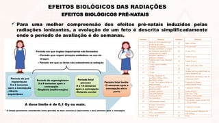 EFEITOS BIOLÓGICOS PRÉ-NATAIS
EFEITOS BIOLÓGICOS DAS RADIAÇÕES
 Para uma melhor compreensão dos efeitos pré-natais induzidos pelas
radiações ionizantes, a evolução de um feto é descrita simplificadamente
onde o período de avaliação é de semanas.
 