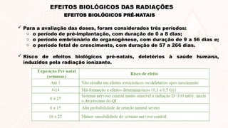  Para a avaliação das doses, foram considerados três períodos:
o o período de pré-implantação, com duração de 0 a 8 dias;
o o período embrionário de organogênese, com duração de 9 a 56 dias e;
o o período fetal de crescimento, com duração de 57 a 266 dias.
 Risco de efeitos biológicos pré-natais, deletérios à saúde humana,
induzidos pela radiação ionizante.
EFEITOS BIOLÓGICOS PRÉ-NATAIS
EFEITOS BIOLÓGICOS DAS RADIAÇÕES
 