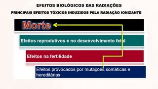 PRINCIPAIS EFEITOS TÓXICOS INDUZIDOS PELA RADIAÇÃO IONIZANTE
EFEITOS BIOLÓGICOS DAS RADIAÇÕES
 