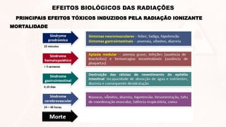 MORTALIDADE
PRINCIPAIS EFEITOS TÓXICOS INDUZIDOS PELA RADIAÇÃO IONIZANTE
EFEITOS BIOLÓGICOS DAS RADIAÇÕES
 