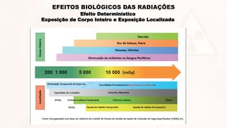 Efeito Determinístico
Exposição de Corpo Inteiro e Exposição Localizada
EFEITOS BIOLÓGICOS DAS RADIAÇÕES
 