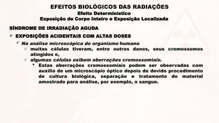SÍNDROME DE IRRADIAÇÃO AGUDA
 Na análise microscópica do organismo humano
o muitas células tiveram, entre outros danos, seus cromossomos
atingidos e,
o algumas células exibem aberrações cromossomiais.
 Estas aberrações cromossomiais podem ser observadas com
auxílio de um microscópio óptico depois de devido procedimento
de cultura biológica, separação e tratamento do material
amostrado para análise, por exemplo, o sangue.
 EXPOSIÇÕES ACIDENTAIS COM ALTAS DOSES
Efeito Determinístico
Exposição de Corpo Inteiro e Exposição Localizada
EFEITOS BIOLÓGICOS DAS RADIAÇÕES
 