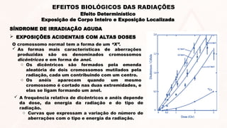 SÍNDROME DE IRRADIAÇÃO AGUDA
O cromossomo normal tem a forma de um “X”.
 As formas mais características de aberrações
produzidas são os denominados cromossomos
dicêntricos e em forma de anel.
o Os dicêntricos são formados pela emenda
aleatória de dois cromossomos mutilados pela
radiação, cada um contribuindo com um centro.
o Os anéis aparecem quando um mesmo
cromossomo é cortado nas duas extremidades, e
elas se ligam formando um anel.
 EXPOSIÇÕES ACIDENTAIS COM ALTAS DOSES
 A frequência relativa de dicêntricos e anéis depende
da dose, da energia da radiação e do tipo de
radiação.
o Curvas que expressam a variação do número de
aberrações com o tipo e energia da radiação.
Efeito Determinístico
Exposição de Corpo Inteiro e Exposição Localizada
EFEITOS BIOLÓGICOS DAS RADIAÇÕES
 