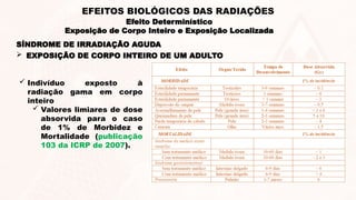 SÍNDROME DE IRRADIAÇÃO AGUDA
 Indivíduo exposto à
radiação gama em corpo
inteiro
 Valores limiares de dose
absorvida para o caso
de 1% de Morbidez e
Mortalidade (publicação
103 da ICRP de 2007).
 EXPOSIÇÃO DE CORPO INTEIRO DE UM ADULTO
Efeito Determinístico
Exposição de Corpo Inteiro e Exposição Localizada
EFEITOS BIOLÓGICOS DAS RADIAÇÕES
 