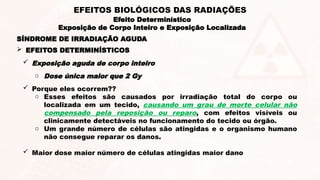 SÍNDROME DE IRRADIAÇÃO AGUDA
 EFEITOS DETERMINÍSTICOS
 Exposição aguda de corpo inteiro
o Dose única maior que 2 Gy
 Porque eles ocorrem??
o Esses efeitos são causados por irradiação total do corpo ou
localizada em um tecido, causando um grau de morte celular não
compensado pela reposição ou reparo, com efeitos visíveis ou
clinicamente detectáveis no funcionamento do tecido ou órgão.
o Um grande número de células são atingidas e o organismo humano
não consegue reparar os danos.
 Maior dose maior número de células atingidas maior dano
Efeito Determinístico
Exposição de Corpo Inteiro e Exposição Localizada
EFEITOS BIOLÓGICOS DAS RADIAÇÕES
 