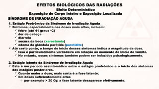 SÍNDROME DE IRRADIAÇÃO AGUDA
1. Estágio Prodrômico da Síndrome de Irradiação Aguda
 Sintomas, especialmente nas doses mais altas, incluem:
 febre (até 41 graus o
C)
 dor de cabeça
 diarréia
 secura da boca (xerostomia)
 edema da glândula parótida (parotidite)
 Até certo ponto, o tempo de início desses sintomas indica a magnitude da dose.
 Isso é particularmente verdadeiro em relação ao momento do início do vômito.
 No entanto, esses sintomas também podem ser induzidos psicologicamente.
2. Estágio latente da Síndrome de Irradiação Aguda
 Este é um período assintomático entre o estágio prodrômico e o início dos sintomas
dos estágios posteriores.
 Quanto maior a dose, mais curta é a fase latente.
 Em doses suficientemente altas
o por exemplo > 30 Gy, a fase latente desaparece efetivamente.
Efeito Determinístico
Exposição de Corpo Inteiro e Exposição Localizada
EFEITOS BIOLÓGICOS DAS RADIAÇÕES
 