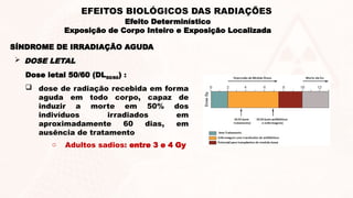 SÍNDROME DE IRRADIAÇÃO AGUDA
 DOSE LETAL
Dose letal 50/60 (DL50/60) :
 dose de radiação recebida em forma
aguda em todo corpo, capaz de
induzir a morte em 50% dos
indivíduos irradiados em
aproximadamente 60 dias, em
ausência de tratamento
o Adultos sadios: entre 3 e 4 Gy
Efeito Determinístico
Exposição de Corpo Inteiro e Exposição Localizada
EFEITOS BIOLÓGICOS DAS RADIAÇÕES
 