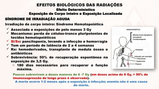 SÍNDROME DE IRRADIAÇÃO AGUDA
Irradiação de corpo inteiro: Síndrome Hematopoiética
Efeito Determinístico
Exposição de Corpo Inteiro e Exposição Localizada
EFEITOS BIOLÓGICOS DAS RADIAÇÕES
 Associada a exposições de pelo menos 3 Gy
 Mecanismo: perda de células-tronco pluripotentes de
tecidos hematopoiéticos
 Si/Sx: pancitopenia, levando a infecção e hemorragia
 Tem um período de latência de 2 a 4 semanas
 Rx: hemoderivados, transplante de medula óssea e
antibióticos
 Sobrevivência: 50% de recuperação espontânea na
exposição de 3,5 Gy.
o 180 dias necessários para recuperar a função
máxima.
Poucos sobrevivem a doses maiores de 6 -7 Gy (em doses acima de 8 Gy, > 90% de
imunossupressão de longo prazo é observada).
A morte ocorre 1-2 meses após a exposição à infecção; anemia não é uma causa
de morte.
 