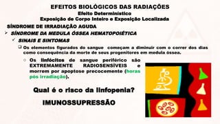  SINAIS E SINTOMAS
 Os elementos figurados do sangue começam a diminuir com o correr dos dias
como consequência da morte de seus progenitores em medula óssea.
o Os linfócitos de sangue periférico são
EXTREMAMENTE RADIOSENSÍVEIS e
morrem por apoptose precocemente (horas
pós irradiação).
IMUNOSSUPRESSÃO
Qual é o risco da linfopenia?
SÍNDROME DE IRRADIAÇÃO AGUDA
 SÍNDROME DA MEDULA ÓSSEA HEMATOPOIÉTICA
Efeito Determinístico
Exposição de Corpo Inteiro e Exposição Localizada
EFEITOS BIOLÓGICOS DAS RADIAÇÕES
 