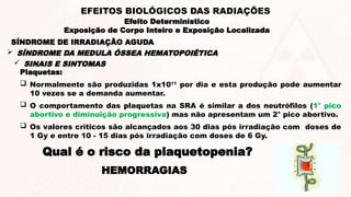  SINAIS E SINTOMAS
Plaquetas:
 Normalmente são produzidas 1x1011
por dia e esta produção pode aumentar
10 vezes se a demanda aumentar.
 O comportamento das plaquetas na SRA é similar a dos neutrófilos (1° pico
abortivo e diminuição progressiva) mas não apresentam um 2° pico abortivo.
 Os valores críticos são alcançados aos 30 dias pós irradiação com doses de
1 Gy e entre 10 - 15 dias pós irradiação com doses de 6 Gy.
Qual é o risco da plaquetopenia?
HEMORRAGIAS
SÍNDROME DE IRRADIAÇÃO AGUDA
 SÍNDROME DA MEDULA ÓSSEA HEMATOPOIÉTICA
Efeito Determinístico
Exposição de Corpo Inteiro e Exposição Localizada
EFEITOS BIOLÓGICOS DAS RADIAÇÕES
 
