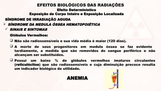  SINAIS E SINTOMAS
Glóbulos Vermelhos:
 Não são radiossensíveis e sua vida média é maior (120 dias).
 A morte de seus progenitores em medula óssea se faz evidente
tardiamente, a medida que são removidos do sangue periférico e não
alcançam ser substituídos.
 Possui um baixo % de glóbulos vermelhos imaturos circulantes
(reticulócitos) que são radiossensíveis e cuja diminuição precoce resulta
um indicador biológico de utilidade.
ANEMIA
SÍNDROME DE IRRADIAÇÃO AGUDA
 SÍNDROME DA MEDULA ÓSSEA HEMATOPOIÉTICA
Efeito Determinístico
Exposição de Corpo Inteiro e Exposição Localizada
EFEITOS BIOLÓGICOS DAS RADIAÇÕES
 