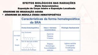 SÍNDROME DE IRRADIAÇÃO AGUDA
 SÍNDROME DA MEDULA ÓSSEA HEMATOPOIÉTICA
Efeito Determinístico
Exposição de Corpo Inteiro e Exposição Localizada
EFEITOS BIOLÓGICOS DAS RADIAÇÕES
 