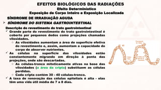 Descrição do revestimento do trato gastrointestinal
 Grande parte do revestimento do trato gastrointestinal é
coberto por pequenos dedos como projeções chamadas
vilosidades.
o As vilosidades aumentam a área de superfície efetiva
do revestimento e, assim, aumentam a capacidade do
corpo de absorver nutrientes.
 As células na superfície das vilosidades estão
constantemente migrando em direção à ponta das
projeções, onde são descartadas.
o As células-tronco mitoticamente ativas na base das
vilosidades (a área da cripta) substituem as células
perdidas.
o Cada cripta contém 30 - 40 células-tronco.
 A taxa de renovação das células epiteliais é alta - elas
têm uma vida útil média de 7 a 8 dias.
 SÍNDROME DO SISTEMA GASTROINTESTINAL
SÍNDROME DE IRRADIAÇÃO AGUDA
Efeito Determinístico
Exposição de Corpo Inteiro e Exposição Localizada
EFEITOS BIOLÓGICOS DAS RADIAÇÕES
 