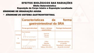  SÍNDROME DO SISTEMA GASTROINTESTINAL
SÍNDROME DE IRRADIAÇÃO AGUDA
Efeito Determinístico
Exposição de Corpo Inteiro e Exposição Localizada
EFEITOS BIOLÓGICOS DAS RADIAÇÕES
 