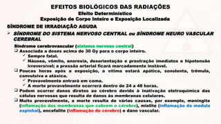 Síndrome cerebrovascular (sistema nervoso central)
 Associada a doses acima de 30 Gy para o corpo inteiro.
 Sempre fatal.
 Náusea, vômito, anorexia, desorientação e prostração imediatos e hipotensão
irreversível; a pressão arterial ficará marcadamente instável.
 Poucas horas após a exposição, a vítima estará apática, sonolenta, trêmula,
convulsiva e atáxica.
 Provavelmente entrará em coma.
 A morte provavelmente ocorrerá dentro de 24 a 48 horas.
 Podem ocorrer danos diretos ao cérebro devido à inativação eletroquímica das
células nervosas que resulta de danos às membranas celulares.
 Muito provavelmente, a morte resulta de várias causas, por exemplo, meningite
(inflamação das membranas que cobrem o cérebro), mielite (inflamação da medula
espinhal), encefalite (inflamação do cérebro) e dano vascular.
 SÍNDROME DO SISTEMA NERVOSO CENTRAL ou SÍNDROME NEURO VASCULAR
CEREBRAL
SÍNDROME DE IRRADIAÇÃO AGUDA
Efeito Determinístico
Exposição de Corpo Inteiro e Exposição Localizada
EFEITOS BIOLÓGICOS DAS RADIAÇÕES
 
