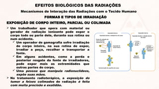 EXPOSIÇÃO DE CORPO INTEIRO, PARCIAL OU COLIMADA
 Um trabalhador que opera com material ou
gerador de radiação ionizante pode expor o
corpo todo ou parte dele, durante sua rotina ou
num acidente.
 Um operador de gamagrafia sofre irradiação
de corpo inteiro, na sua rotina de expor,
irradiar a peça, recolher e transportar a
fonte.
 Em alguns acidentes, como a perda e
posterior resgate da fonte de irradiadores,
pode expor mais as extremidades que
outras partes do corpo.
 Uma pessoa que manipula radionuclídeos,
expõe suas mãos.
 No tratamento radioterápico, a exposição do
tumor a feixes colimados de radiação é feita
com muita precisão e exatidão.
FORMAS E TIPOS DE IRRADIAÇÃO
EFEITOS BIOLÓGICOS DAS RADIAÇÕES
Mecanismos de Interação das Radiações com o Tecido Humano
 
