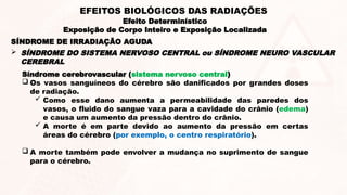 Síndrome cerebrovascular (sistema nervoso central)
 Os vasos sanguíneos do cérebro são danificados por grandes doses
de radiação.
 Como esse dano aumenta a permeabilidade das paredes dos
vasos, o fluido do sangue vaza para a cavidade do crânio (edema)
e causa um aumento da pressão dentro do crânio.
 A morte é em parte devido ao aumento da pressão em certas
áreas do cérebro (por exemplo, o centro respiratório).
 A morte também pode envolver a mudança no suprimento de sangue
para o cérebro.
 SÍNDROME DO SISTEMA NERVOSO CENTRAL ou SÍNDROME NEURO VASCULAR
CEREBRAL
SÍNDROME DE IRRADIAÇÃO AGUDA
Efeito Determinístico
Exposição de Corpo Inteiro e Exposição Localizada
EFEITOS BIOLÓGICOS DAS RADIAÇÕES
 