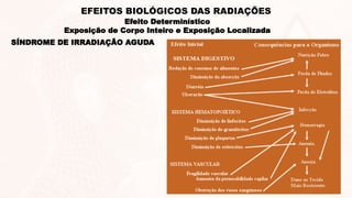 SÍNDROME DE IRRADIAÇÃO AGUDA
Efeito Determinístico
Exposição de Corpo Inteiro e Exposição Localizada
EFEITOS BIOLÓGICOS DAS RADIAÇÕES
 