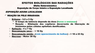  REAÇÃO DA PELE IRRADIADA
o Eritema - 3,5 a 5 Gy
 O tempo de latência depende da dose (horas a semanas)
 Reação – Dilatação dos capilares decorrente da liberação de
histamina pelas células epiteliais danificadas.
o Epilação - 4 a 7 Gy
o Descamação seca – > 10 Gy
o Descamação úmida - (com aparecimento de bolhas) – > 18 a 23 Gy
o Necrose – Maior 30 Gy
EXPOSIÇÃO AGUDA LOCALIZADA
Efeito Determinístico
Exposição de Corpo Inteiro e Exposição Localizada
EFEITOS BIOLÓGICOS DAS RADIAÇÕES
 