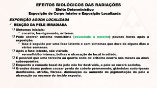  REAÇÃO DA PELE IRRADIADA
 Sintomas iniciais:
 coceira, formigamento, eritema.
 Pode ocorrer eritema transitório (associado a coceira) poucas horas após a
exposição.
 Isso é seguido por uma fase latente e sem sintomas que dura de alguns dias a
várias semanas.
 Após a fase latente, são visíveis
 vermelhidão intensa, bolhas e ulceração do local irradiado.
 É possível que uma terceira ou quarta onda de eritema ocorra nos meses ou anos
subsequentes.
 Enquanto a camada basal da pele não for destruída, a pele se curará sozinha.
 Grandes doses podem causar perda de cabelo permanente, glândulas sudoríparas
danificadas, atrofia, fibrose, diminuição ou aumento da pigmentação da pele e
ulceração ou necrose do tecido exposto.
EXPOSIÇÃO AGUDA LOCALIZADA
Efeito Determinístico
Exposição de Corpo Inteiro e Exposição Localizada
EFEITOS BIOLÓGICOS DAS RADIAÇÕES
 