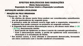  REAÇÃO DA PELE IRRADIADA
 Doses de 10 - 50 Gy
 Os efeitos de doses nesta faixa podem ser considerados semelhantes
aos de queimaduras de segundo grau.
 A primeira onda de eritema ocorre logo após a exposição, enquanto a
segunda fase pode começar na primeira ou segunda semana.
 A segunda fase envolve descamação seca e, em doses mais altas (> 20
– 30 Gy), descamação úmida.
 Essa perda de epiderme se deve à morte da camada germinativa.
 Com a descamação úmida, a perda de epiderme está associada à
ulceração e à exsudação de fluido.
 Em muitos casos, a área afetada é claramente demarcada, formando
um claro contraste com o tecido saudável circundante.
EXPOSIÇÃO AGUDA LOCALIZADA
Efeito Determinístico
Exposição de Corpo Inteiro e Exposição Localizada
EFEITOS BIOLÓGICOS DAS RADIAÇÕES
 