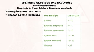  REAÇÃO DA PELE IRRADIADA
EXPOSIÇÃO AGUDA LOCALIZADA
Efeito Determinístico
Exposição de Corpo Inteiro e Exposição Localizada
EFEITOS BIOLÓGICOS DAS RADIAÇÕES
 