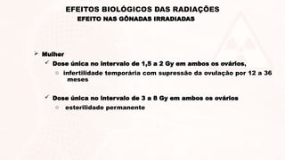  Mulher
 Dose única no intervalo de 1,5 a 2 Gy em ambos os ovários,
o infertilidade temporária com supressão da ovulação por 12 a 36
meses
 Dose única no intervalo de 3 a 8 Gy em ambos os ovários
o esterilidade permanente
EFEITO NAS GÔNADAS IRRADIADAS
EFEITOS BIOLÓGICOS DAS RADIAÇÕES
 