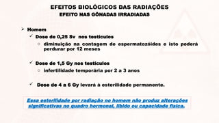  Homem
 Dose de 0,25 Sv nos testículos
o diminuição na contagem de espermatozóides e isto poderá
perdurar por 12 meses
 Dose de 1,5 Gy nos testículos
o infertilidade temporária por 2 a 3 anos
 Dose de 4 a 6 Gy levará à esterilidade permanente.
EFEITO NAS GÔNADAS IRRADIADAS
EFEITOS BIOLÓGICOS DAS RADIAÇÕES
Essa esterilidade por radiação no homem não produz alterações
significativas no quadro hormonal, libido ou capacidade física.
 