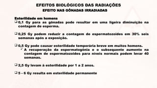 Esterilidade em homens
 0,1 Gy para as gônadas pode resultar em uma ligeira diminuição na
contagem de esperma.
 0,25 Gy podem reduzir a contagem de espermatozoides em 30% seis
semanas após a exposição.
 0,5 Gy pode causar esterilidade temporária breve em muitos homens.
 A recuperação da espermatogônia e o subsequente aumento na
contagem de espermatozoides para níveis normais podem levar 40
semanas.
 2,5 Gy levam à esterilidade por 1 a 2 anos.
 5 - 6 Gy resulta em esterilidade permanente
EFEITO NAS GÔNADAS IRRADIADAS
EFEITOS BIOLÓGICOS DAS RADIAÇÕES
 