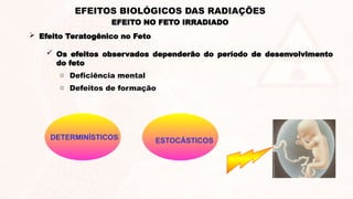 EFEITO NO FETO IRRADIADO
EFEITOS BIOLÓGICOS DAS RADIAÇÕES
 Efeito Teratogênico no Feto
 Os efeitos observados dependerão do período de desenvolvimento
do feto
o Deficiência mental
o Defeitos de formação
DETERMINÍSTICOS ESTOCÁSTICOS
 