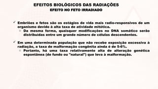 EFEITO NO FETO IRRADIADO
EFEITOS BIOLÓGICOS DAS RADIAÇÕES
 Embriões e fetos são os estágios de vida mais radio-responsivos de um
organismo devido à alta taxa de atividade mitótica.
o Da mesma forma, quaisquer modificações no DNA somático serão
distribuídas entre um grande número de células descendentes.
 Em uma determinada população que não recebe exposição excessiva à
radiação, a taxa de malformação congênita ainda é de 5-6%.
o Portanto, há uma taxa relativamente alta de alteração genética
espontânea (de fundo ou "natural") que leva à malformação.
 