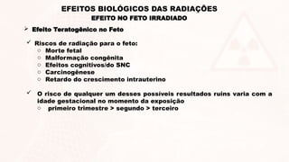 EFEITO NO FETO IRRADIADO
EFEITOS BIOLÓGICOS DAS RADIAÇÕES
 Efeito Teratogênico no Feto
 Riscos de radiação para o feto:
o Morte fetal
o Malformação congênita
o Efeitos cognitivos/do SNC
o Carcinogênese
o Retardo do crescimento intrauterino
 O risco de qualquer um desses possíveis resultados ruins varia com a
idade gestacional no momento da exposição
o primeiro trimestre > segundo > terceiro
 