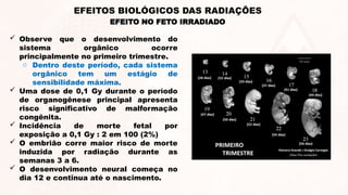  Observe que o desenvolvimento do
sistema orgânico ocorre
principalmente no primeiro trimestre.
o Dentro deste período, cada sistema
orgânico tem um estágio de
sensibilidade máxima.
 Uma dose de 0,1 Gy durante o período
de organogênese principal apresenta
risco significativo de malformação
congênita.
 Incidência de morte fetal por
exposição a 0,1 Gy : 2 em 100 (2%)
 O embrião corre maior risco de morte
induzida por radiação durante as
semanas 3 a 6.
 O desenvolvimento neural começa no
dia 12 e continua até o nascimento.
EFEITO NO FETO IRRADIADO
EFEITOS BIOLÓGICOS DAS RADIAÇÕES
 