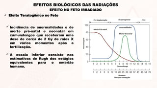  Incidência de anormalidades e de
morte pré-natal e neonatal em
camundongos que receberam uma
dose de cerca de 2 Gy de raios X
em vários momentos após a
fertilização.
 A escala inferior consiste nas
estimativas de Rugh dos estágios
equivalentes para o embrião
humano.
EFEITO NO FETO IRRADIADO
EFEITOS BIOLÓGICOS DAS RADIAÇÕES
 Efeito Teratogênico no Feto
 