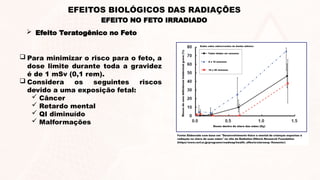  Para minimizar o risco para o feto, a
dose limite durante toda a gravidez
é de 1 mSv (0,1 rem).
 Considera os seguintes riscos
devido a uma exposição fetal:
 Câncer
 Retardo mental
 QI diminuído
 Malformações
EFEITO NO FETO IRRADIADO
EFEITOS BIOLÓGICOS DAS RADIAÇÕES
 Efeito Teratogênico no Feto
 