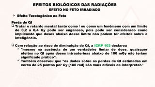 Perda do QI
 Tratar o retardo mental tanto como / ou como um fenômeno com um limite
de 0,2 a 0,4 Gy pode ser enganoso, pois pode ser considerado como
implicando que doses abaixo desse limite não podem ter efeitos sobre a
inteligência.
 Com relação ao risco de diminuição do QI, a ICRP 103 declarou
 "mesmo na ausência de um verdadeiro limiar de dose, quaisquer
efeitos no QI após doses intrauterinas abaixo de 100 mGy não teriam
significado prático".
 Também observou que "os dados sobre as perdas de QI estimadas em
cerca de 25 pontos por Gy [100 rad] são mais difíceis de interpretar."
EFEITO NO FETO IRRADIADO
EFEITOS BIOLÓGICOS DAS RADIAÇÕES
 Efeito Teratogênico no Feto
 