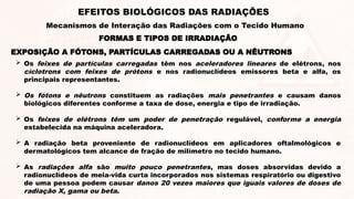 EXPOSIÇÃO A FÓTONS, PARTÍCULAS CARREGADAS OU A NÊUTRONS
 Os feixes de partículas carregadas têm nos aceleradores lineares de elétrons, nos
cíclotrons com feixes de prótons e nos radionuclídeos emissores beta e alfa, os
principais representantes.
 Os fótons e nêutrons constituem as radiações mais penetrantes e causam danos
biológicos diferentes conforme a taxa de dose, energia e tipo de irradiação.
 Os feixes de elétrons têm um poder de penetração regulável, conforme a energia
estabelecida na máquina aceleradora.
 A radiação beta proveniente de radionuclídeos em aplicadores oftalmológicos e
dermatológicos tem alcance de fração de milímetro no tecido humano.
 As radiações alfa são muito pouco penetrantes, mas doses absorvidas devido a
radionuclídeos de meia-vida curta incorporados nos sistemas respiratório ou digestivo
de uma pessoa podem causar danos 20 vezes maiores que iguais valores de doses de
radiação X, gama ou beta.
FORMAS E TIPOS DE IRRADIAÇÃO
EFEITOS BIOLÓGICOS DAS RADIAÇÕES
Mecanismos de Interação das Radiações com o Tecido Humano
 
