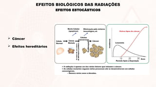  Câncer
 Efeitos hereditários
EFEITOS ESTOCÁSTICOS
EFEITOS BIOLÓGICOS DAS RADIAÇÕES
 