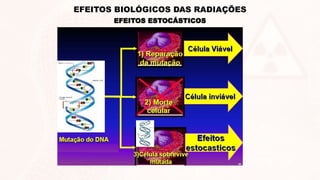 EFEITOS ESTOCÁSTICOS
EFEITOS BIOLÓGICOS DAS RADIAÇÕES
 