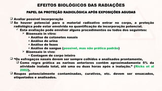  Avaliar possível incorporação
 Se houver potencial para o material radioativo entrar no corpo, a proteção
radiológica pode estar envolvida na quantificação da incorporação potencial.
 Esta avaliação pode envolver alguns procedimentos ou todos dos seguintes:
 Bioensaio in vitro:
• Análise de cotonetes nasais
• Análise de urina
• Análise de fezes
• Análise de sangue (possível, mas não prática padrão)
 Bioensaio in vivo:
• Contagem de corpo inteiro
 “Os esfregaços nasais devem ser sempre colhidos e analisados prontamente,
 Como regra prática as narinas anteriores contêm aproximadamente 5% da
atividade inalada total, até uma ou duas horas após a inalação.” (Ricks et al
2002).
 Roupas potencialmente contaminadas, curativos, etc. devem ser ensacados,
etiquetados e analisados.
EFEITOS BIOLÓGICOS DAS RADIAÇÕES
PAPEL DA PROTEÇÃO RADIOLÓGICA APÓS EXPOSIÇÕES AGUDAS
 
